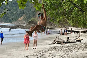 Private Beach Tour Costa Rica