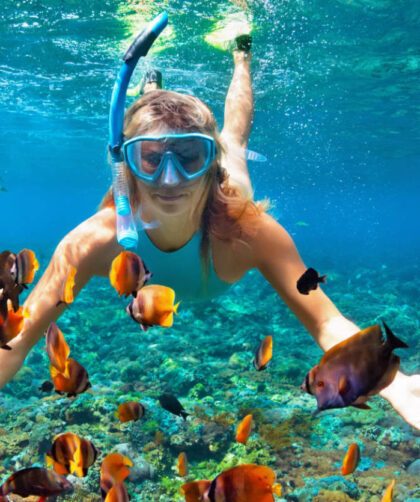 Snorkeling in Jaco