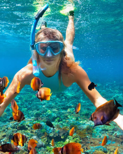 Snorkeling in Jaco