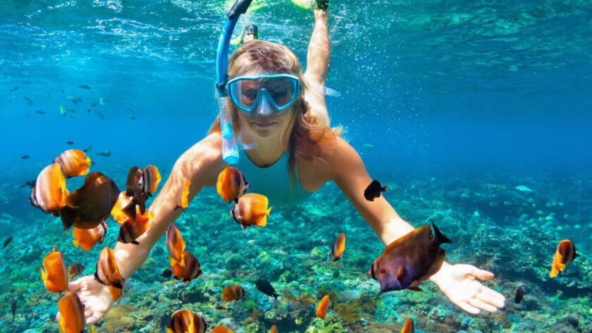 Snorkeling in Jaco