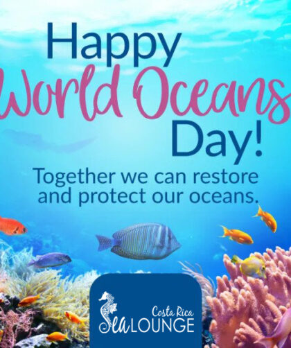 World Oceans Day in Playa Fantasia