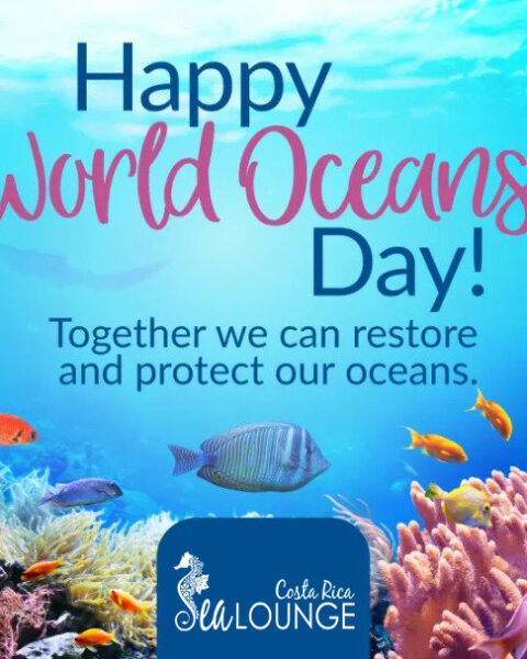 World Oceans Day in Playa Fantasia