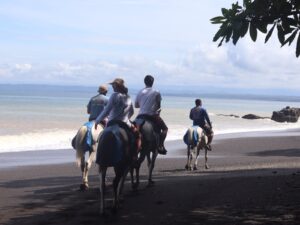 Horseback-Riding-Catamaran