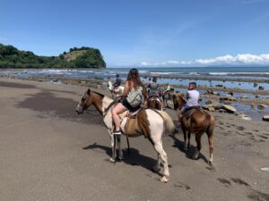 Horseback-Riding-Catamaran