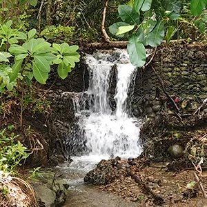 Private Full Day Tour Jaco Private Full Day Tour Jaco
